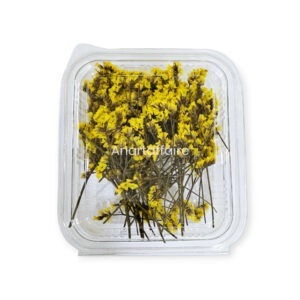 Dry Flower Box 03 (yellow)