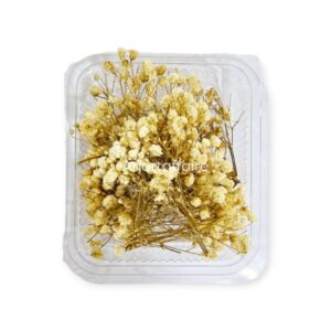 Dry Flower Box 02 (cream)
