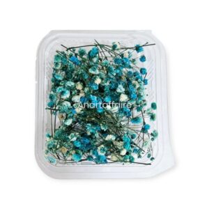 Dry Flower Box 02 (blue)