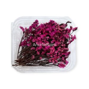 Dry Flower Box 04 (pink)