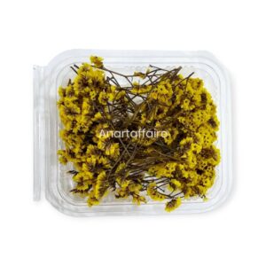 Dry Flower Box 04 (yellow)