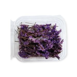 Dry Flower Box 04 (purple)