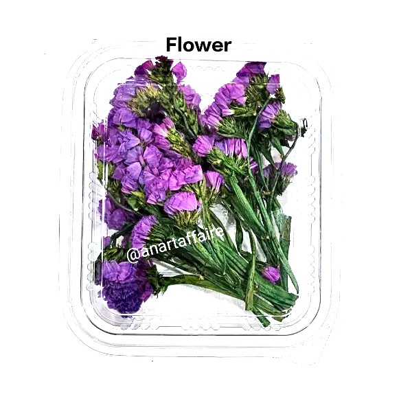 dry flower box 01 (purple)