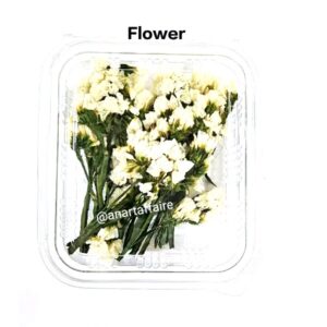 dry flower box 01 (cream)