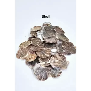 SHELL 028