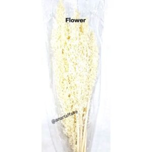 Flowers FLO-11(CREAM)