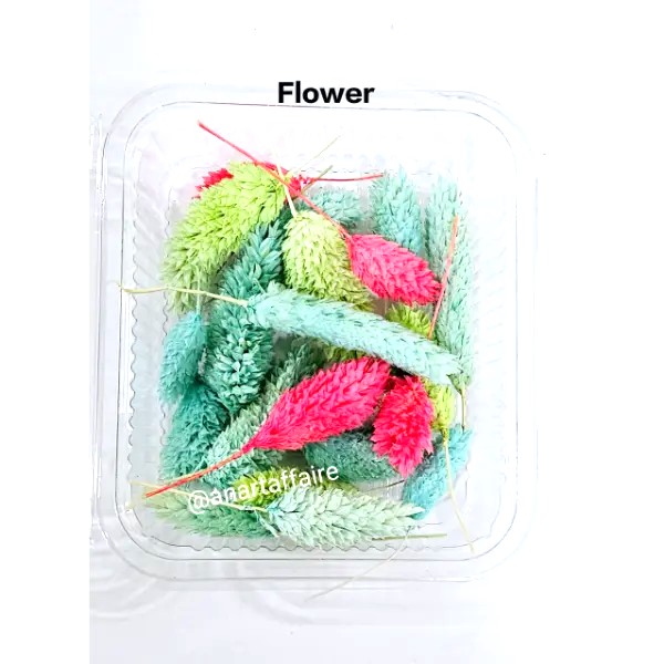 dry flower box 05 (mix)