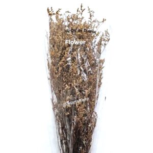 Flowers FLO-10 (BROWN)