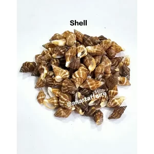 SHELL 021