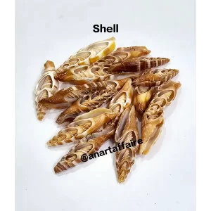 SHELL 043
