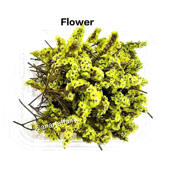 dry flower box 04 (green)