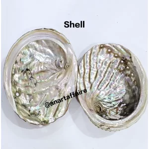 Shells 0010