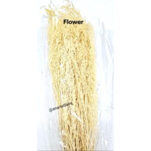 Flowers FLO-03 ( CREAM)