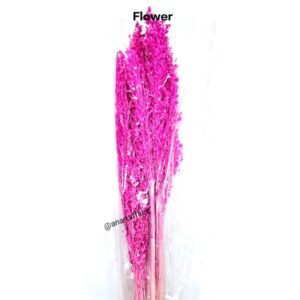 Flowers FLO-11 (RANI PINK)