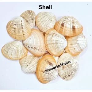 SHELL 012