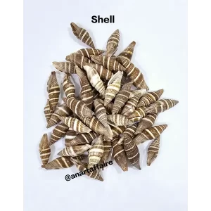 SHELL 009