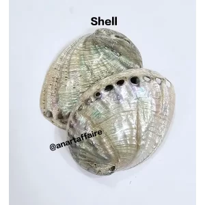 Shells 007
