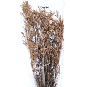 Flowers FLO-10 (L-BROWN)