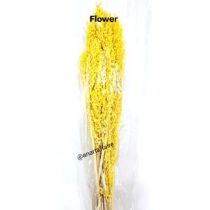 Flowers FLO-11 (YELLOW)