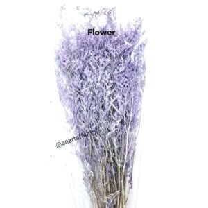 Flowers FLO-03 (PURPLE)