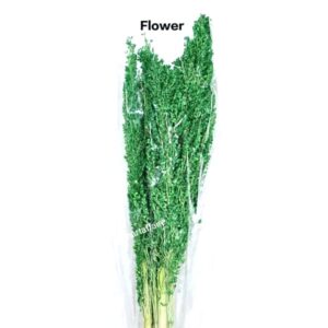 Flowers FLO-11 (GREEN)