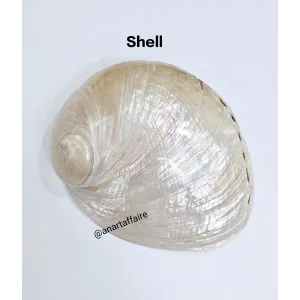 Shells 001