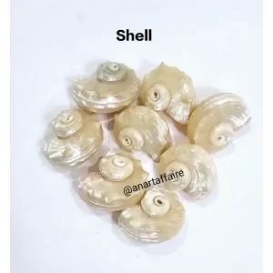 SHELL 045