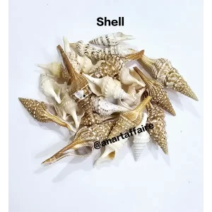 SHELL 017