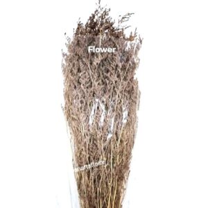 Flowers FLO-03 (BROWN)