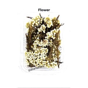 dry flower 06 (l-green)