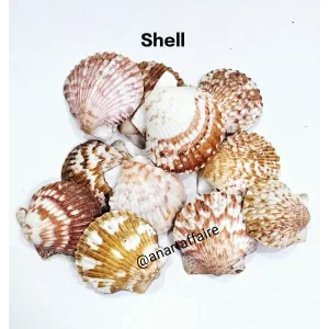 SHELL 002