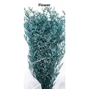 Flowers FLO-10 (BLUE)