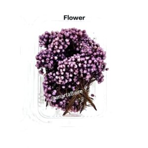 dry flower box 06 (purple)