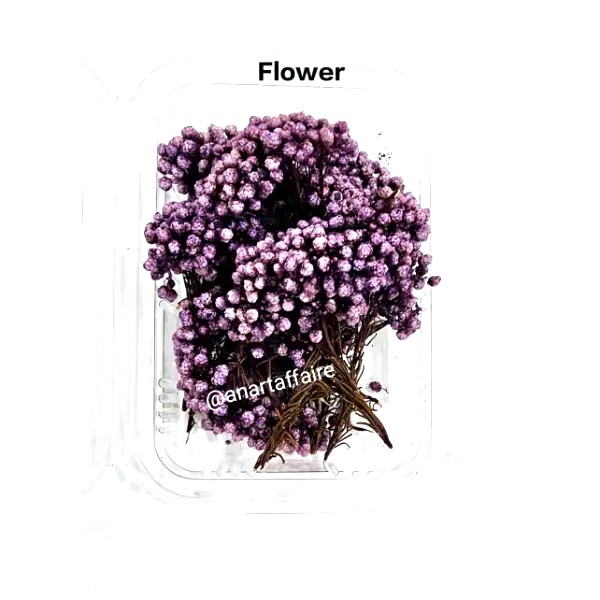 dry flower box 06 (purple)