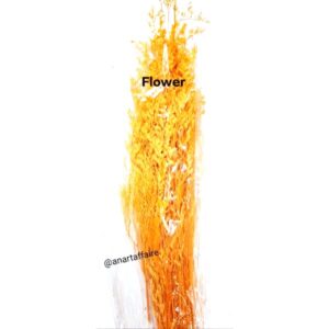 Flowers FLO-03 (ORANGE)