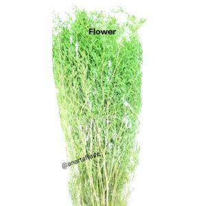 Flowers FLO-03 (D-GREEN)