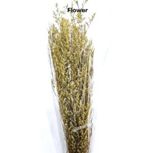 Flowers FLO-10 (YELLOW)