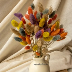 Rabbit Tail Bunch