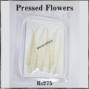 press flower white 01