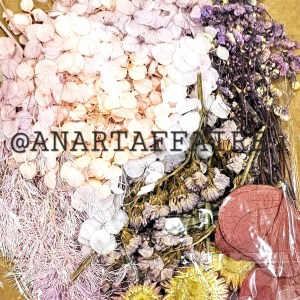 DRY FLOWER 020