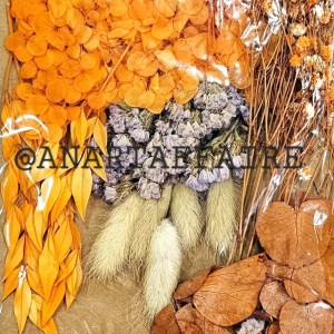 DRY FLOWER 010
