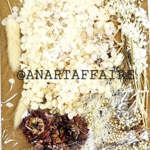 DRY FLOWER 017