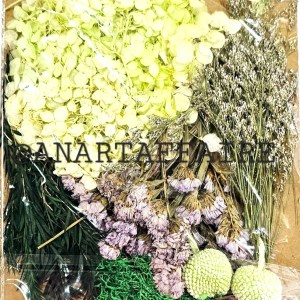 DRY FLOWER 009