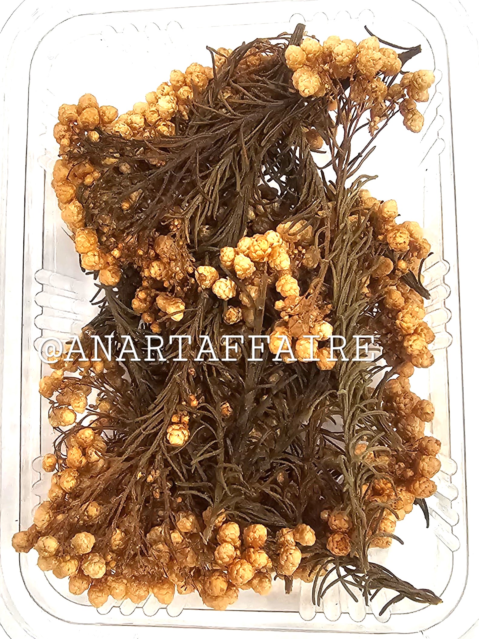 DRY FLOWER BOX 06 (PEACH)