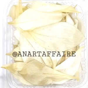 DRY LEAF YELLOW