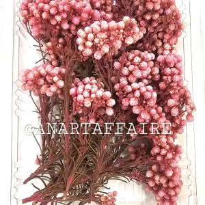 DRY FLOWER BOX 06 (PINK)