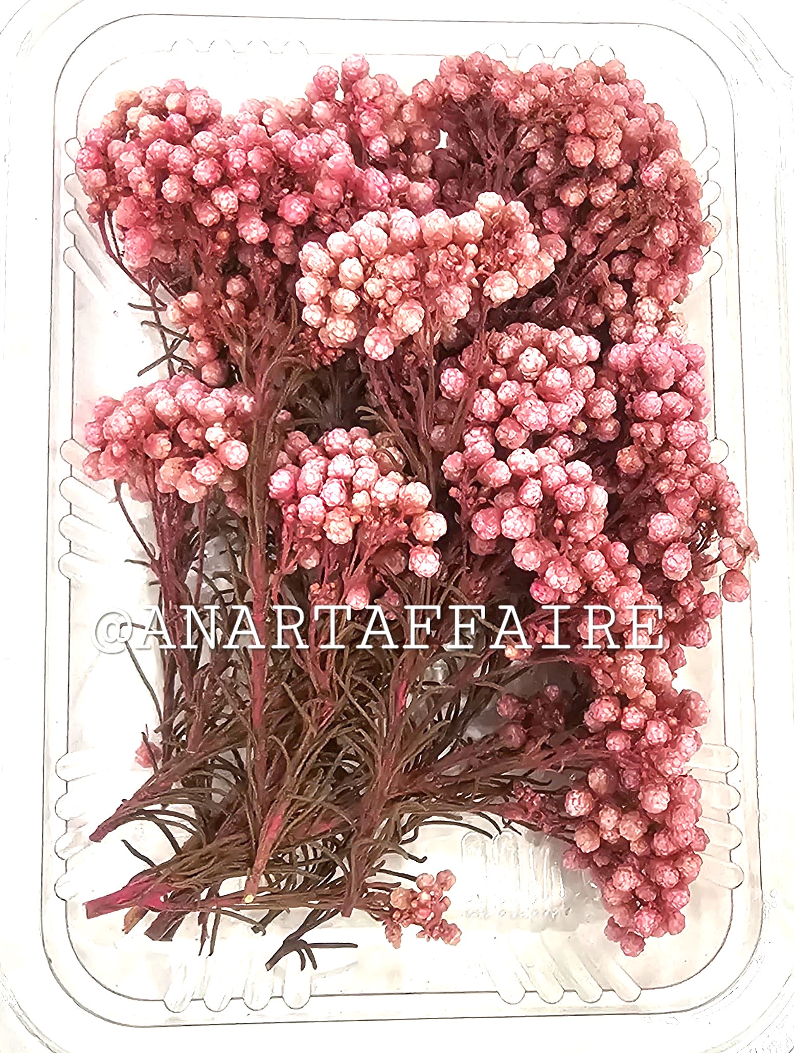 DRY FLOWER BOX 06 (PINK)