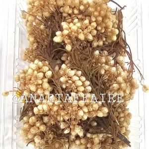 DRY FLOWER BOX  06 (CREAM)