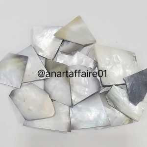 BLACK SHELL CHIPS 041