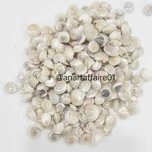 SHELL 020